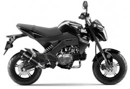 Leo Vince 3394EU GP CORSA EVO Full System for Kawasaki Z125  2017 - 2026