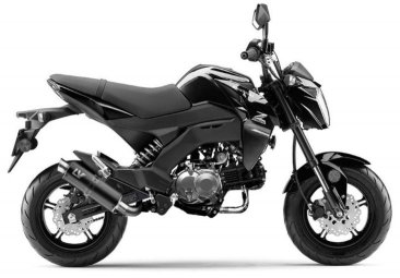Leo Vince 3394BU GP CORSA BLACK EDITION Full System for Kawasaki Z125  2017 - 2026