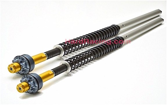 Andreani MISANO EVO Adjustable 20mm Fork Cartridge Kit - 2022+ KTM RC390, 105/KT20E