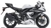 ZX 6R