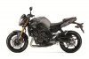 FZ-8