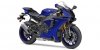 R1 / R1M