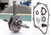 CRANK SHAFT / Crank Bearings