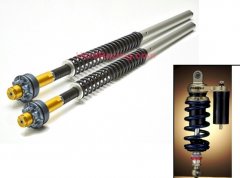SUSPENSION - SHOCKS, CARTRIDGE KITS, SPRINGS