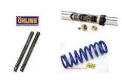Fork Springs, Shock Springs, & Gold Valve Kits