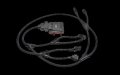 P-DEL5 Akrapovic Automotive Exhaust -BMW M3/M4(F80/F82/F83) 2014-2016 Delete-R | HardRacing