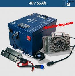 Allied Commercial 48V 65Ah Lithium LiFePO4 Battery Conversion Kit for Golf Cart, AB-48V-65AH