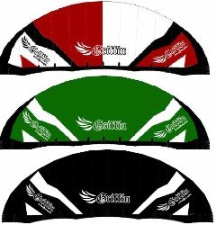 700-XX  Griffin Kites- 2013 Argonaut Kites