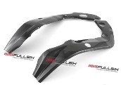 CDT - BMW -S1000 RR '12-'14/S 1000 RR HP4 '13-14 -Carbon Frame Protection Guard - Set  211078, 211079