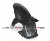 CDT - Ducati-Multistrada 1200 '10-'12 -Carbon Front Mudguard  183644, 210921