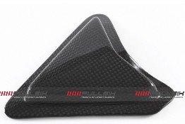 CDT - Ducati- 1199 Panigale R/S '12-'14, 1199 Superleggera '14,  899 '14  -Carbon Swingarm Guard - Slider   202592, 202593