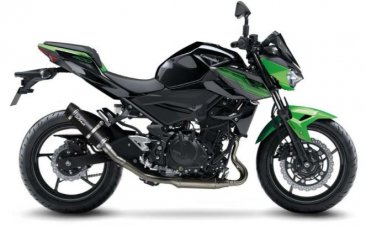 Leo Vince 3389EU GP CORSA EVO Slip-On for Kawasaki Ninja 400/500 Z400/500  2018 - 2025