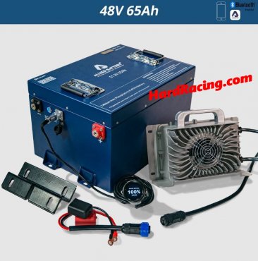 Allied Commercial 48V 65Ah Lithium LiFePO4 Battery Conversion Kit for Golf Cart, AB-48V-65AH