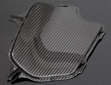 BPCX-7648 L&R  Tyga Performance Carbon Fiber Shroud Inserts  - 2022+ Honda Grom RR (SPECIAL ORDER)