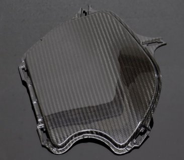 BPCX-7648 L&R  Tyga Performance Carbon Fiber Shroud Inserts  - 2022+ Honda Grom RR (SPECIAL ORDER)