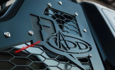 ADD Addictive Desert Designs Race Series F-150/Raptor Chase Rack w/ 2017 Grill Pattern, C115802800103