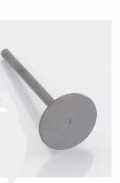 302-1432602 KITACO  Replacement EXHAUST VALVE for NEO 181 HEAD (Special Order)