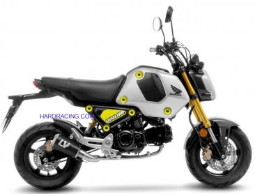 Leo Vince  Exhaust - LV-10 Full System  -   Stainless Tailpipe/ Carbon Muffler/ Stainless End Cap    Grom RR  22-25  15252CU