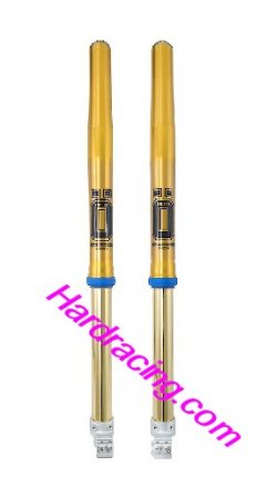 FGSU2196  Suzuki Ohlins Offroad Complete Forks -  Suzuki  2013-21  RM-Z 450