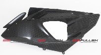 CDT - BMW -S1000 RR '09-'14 / S1000 RR HP4 '13-14 -Carbon Racing  Fairing Side Panel - Left  202825, 211080, 183727