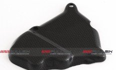 CDT - BMW - S1000 RR '09-'16 / S1000 RR HP4 '13-14-  Carbon Racing  Ignition Rotor Protection Guard (Street/Racing) 202838, 211091,184798, 184796