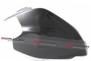 CDT - Ducati- 1199 Panigale R/S '12-'14, 1199 Superleggera '14,  899 '14  -Carbon Swingarm Guard - Guard  202580, 202581