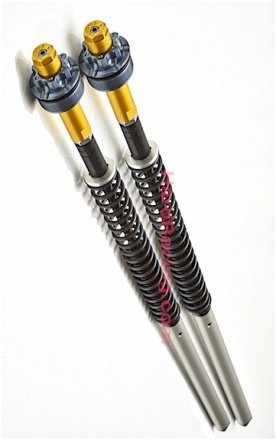 Andreani Full Adjustable Fork Cartridge Kit - SPECIAL ORDER