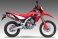 123412S520  Yoshimura  RS-12   Stainless Slip-On Exhaust w/ Stainless  Muffler and Carbon End Cap  - HONDA  CRF300L/Rally  '21-25
