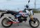 75-0309MC  HINDLE Full Stainless Evo Meg System w/ Carbon EndCap - 2022 + Honda Grom RR - BLACK FRIDAY