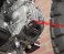 Chimera Halo Valve Cover Set | 2022+ Honda Grom, Monkey, Super Cub 125