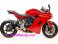 WD1299   WERKES USA GP   Slip-ons - Ducati 2015-17  1299/959 Panigale