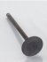 302-1432601 KITACO  Replacement INTAKE VALVE for NEO 181 HEAD (SPECIAL ORDER)