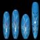 O-75X  Exocet Original Windsurf Boards- Link Windsurfing Boards