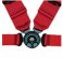 SC-PRIIASM  SCHROTH Profi II ASM Harness