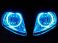 CCFL HALO KIT 53  HALO Light Kits - Suzuki  -'03-'07   SV650/1000