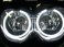 CCFL HALO KIT 48  HALO Light Kits - Suzuki - '03-'07   KATANA