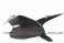 CDT - Ducati- 1199 Panigale R/S '12-'14, 1199 Superleggera '14,  899 '14  -Carbon Swingarm Guard - One-Piece  203943, 203944