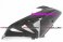 CDT - BMW - S1000RR '15-'16  -Carbon Fairing Side Panel - Upper Right (364822, 364823)