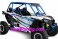 UTV Cab Enclosure - Pro Armor XP1K ASYLUM CAGE SYSTEM- RAW V-INTRUSION   P141C022