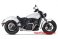 005-4610199-XX  TWO BROTHERS -  Comp S 2-1 Full Exhaust  2017 Scout
