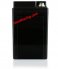 AntiGravity YTX12-20 Lithium OEM Direct Replacement Battery for YTX12 case size