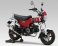 110A-45H-5X50  Yoshimura JAPAN   Yoshimura FULL SYSTEM YAT  RACE GP-MAGNUM DOWN PIPE STAINLESS w/ STAINLESS MUFFLER- 2023-25  DAX 125