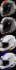 Arai Helmets - Vector-2 Replicas/Graphics -Blaze ARAI-BLAZE