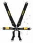 sr91210XUS-0   SCHROTH ENDURO Race Harness