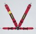 SC-PRASM-FE  SCHROTH Profi II ASM FE - 4 Point  Harness