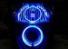 CCFL HALO KIT 60  HALO Light Kits - Suzuki  -'04-'05   GSXR 600/750   (SINGLE HIGH BEAM)