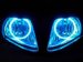 CCFL HALO KIT 53  HALO Light Kits - Suzuki  -'03-'07   SV650/1000