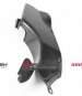 CDT - MV Agusta-  F3 675 '11-'14, F3 800 '13-'14 -Carbon Airtube Covers Oem - Left  208668, 208669