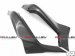 CDT - Ducati-Multistrada 1200/S  '10-'12 -Carbon Rear Side Panel - Set   212557, 212558