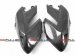 CDT - Ducati- Hypermotard 1100/S '07-'09,  1100 EVO/SP '10-'12, 796 '10-'12  -Carbon Side Panels - Set  35817, 210873